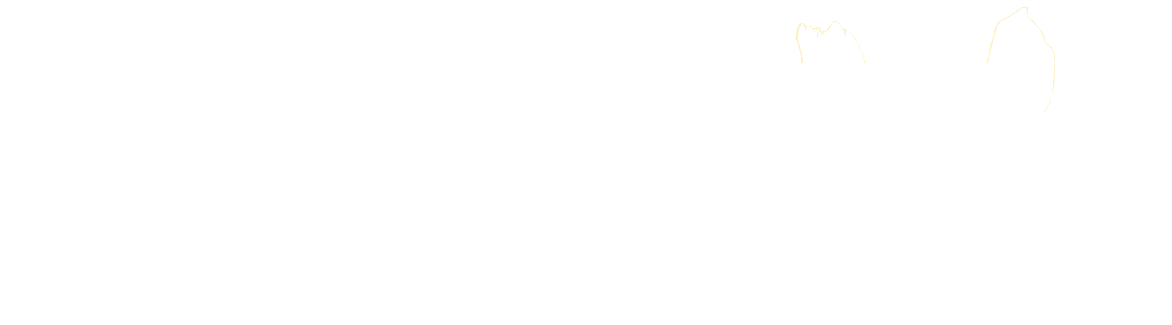 Custom icon